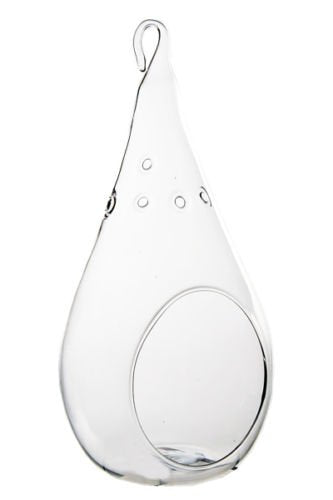 7.25" Glass Teardrop Plant Orb/Terrarium