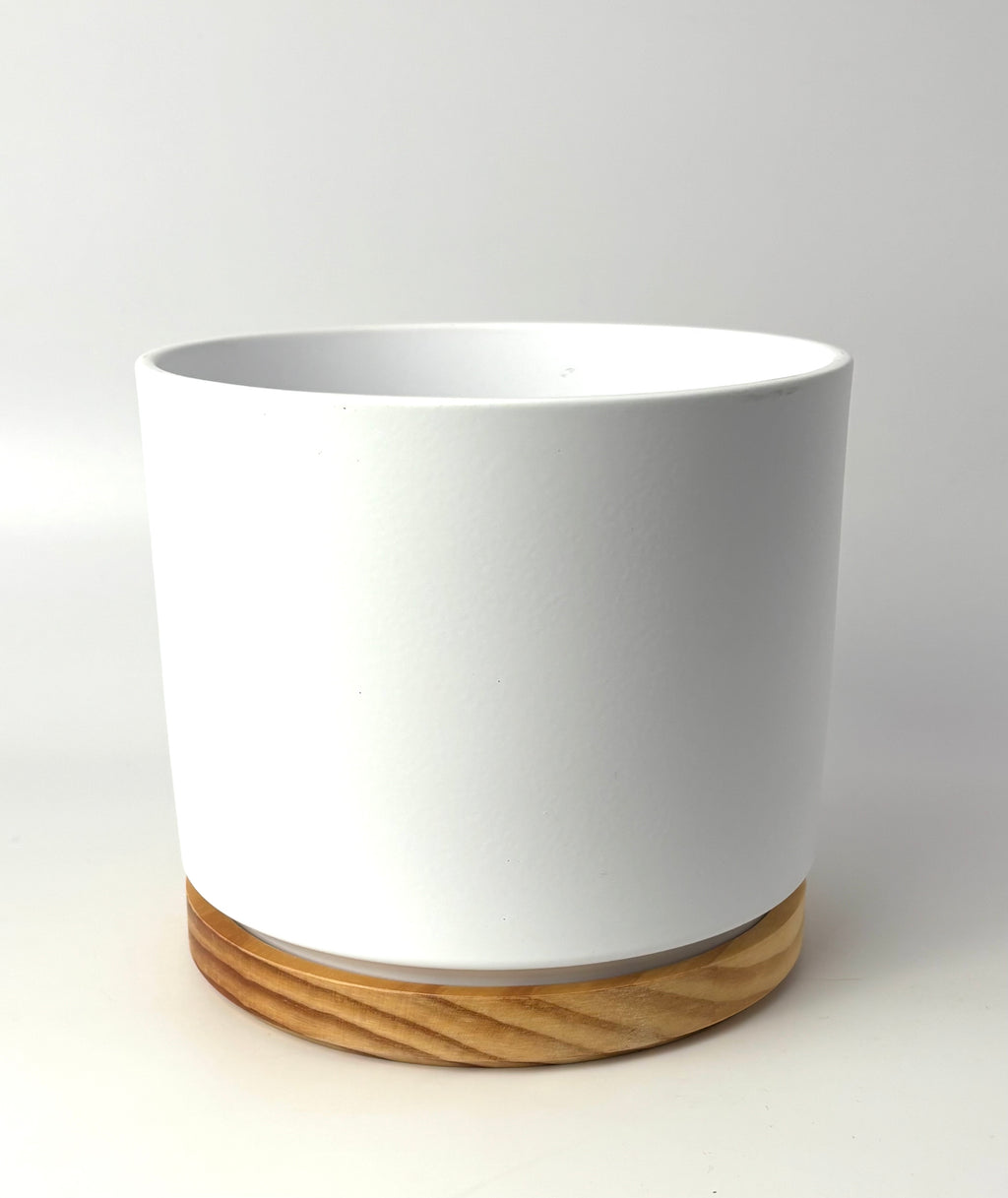 White Oslo 6-inch planter with a wood-grain base on a light background