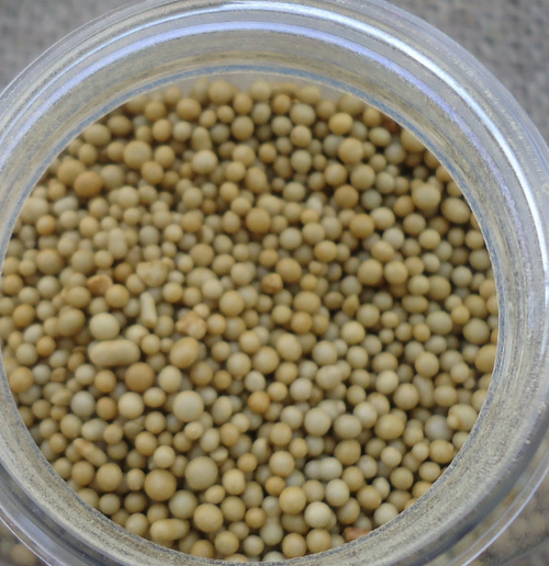 2 oz Slow-Release Fertilizer for Houseplants & Succulents