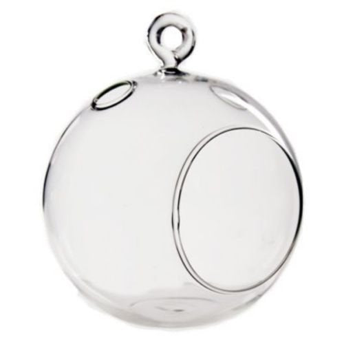 5.5" Glass Plant Orb/Terrarium