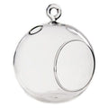 5.5" Glass Plant Orb/Terrarium