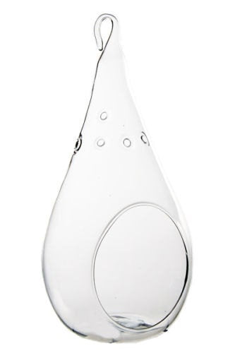 Large 7.25" Glass Tear Drop Plant Orb/Terrarium