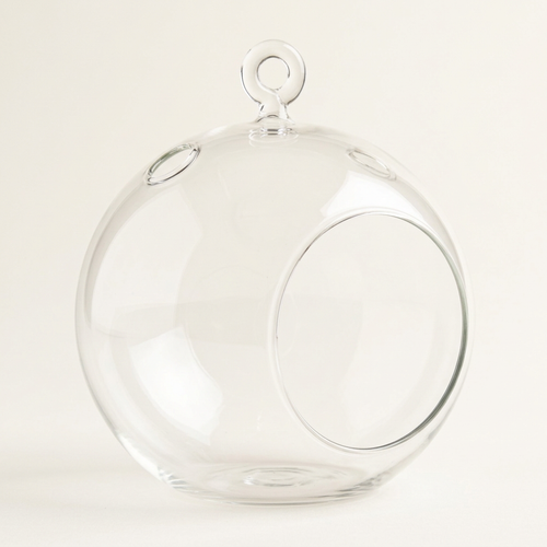Empty 5.5-inch clear glass plant orb terrarium with hanging loop and flat base, studio view