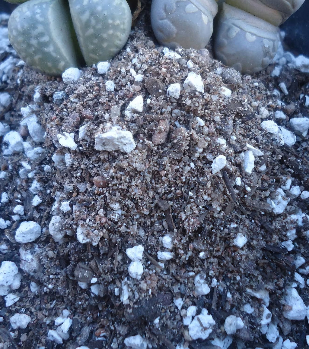 Succulent and cactus soil blend, close up